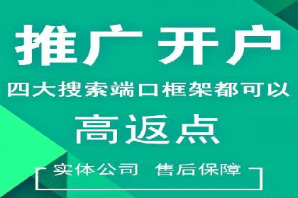 案例分析：成功SEM托管策略全解析